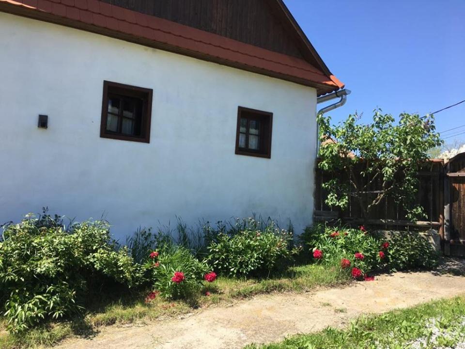 Miklos Lak Ocna de Sus Dış mekan fotoğraf